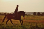 No hour of life is wasted that is spent in the saddle. ~Winston Churchill